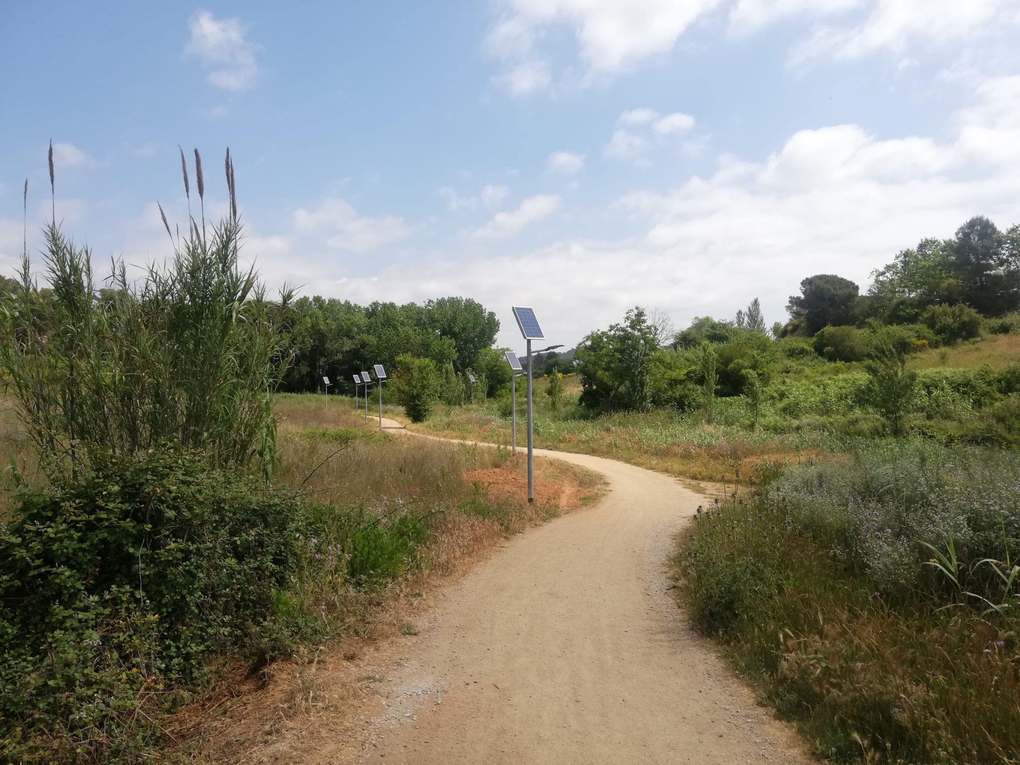 camino en escola de avenç 1