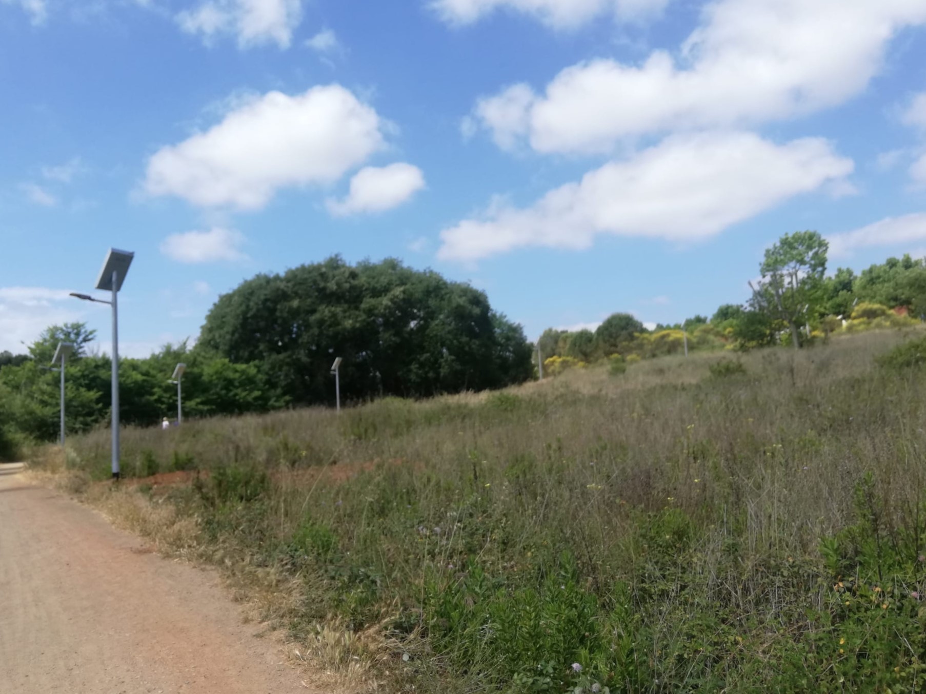 camino en escola de avenç 2
